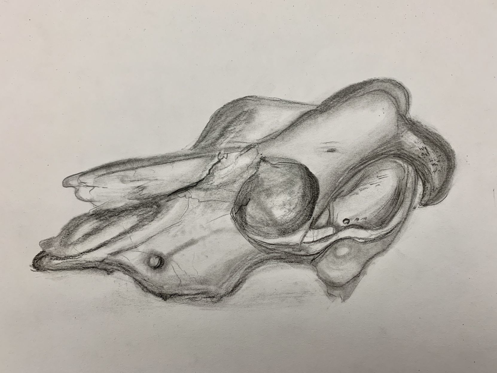 200131studentart